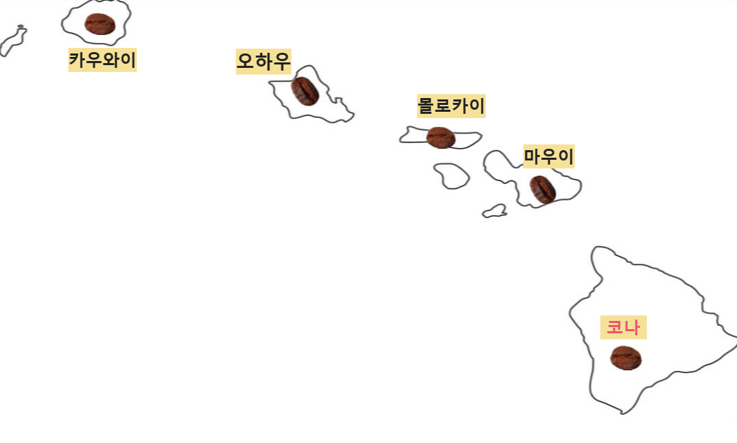 하와이완 코나