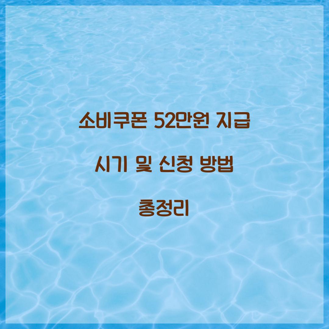 소비쿠폰 52만원