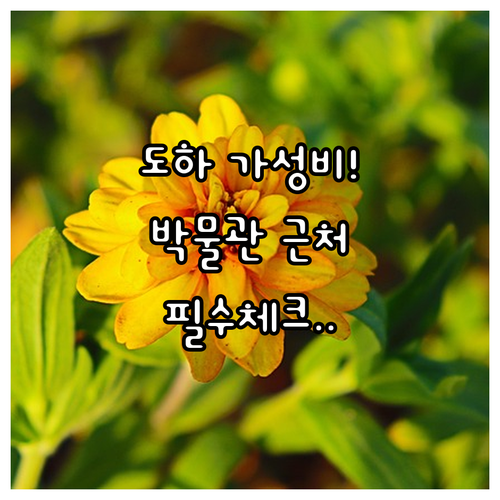 도하 가성비 숙소 5종 리얼 후기와 ..