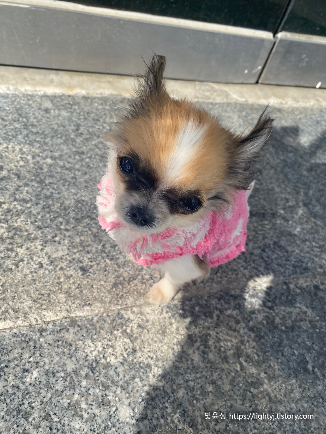 폴게스트하우스 까치