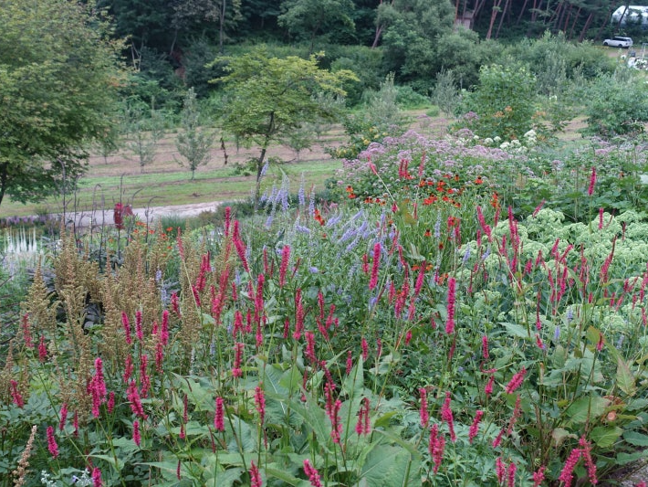 특색있고 아름다운 민간 정원 30선 추천 여행 - 12. 인제 찍박골 정원