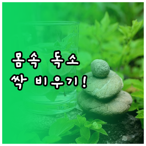 몸속 노폐물 비우는 해독 주스 레시피..