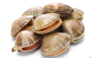 갈미조개 새조개