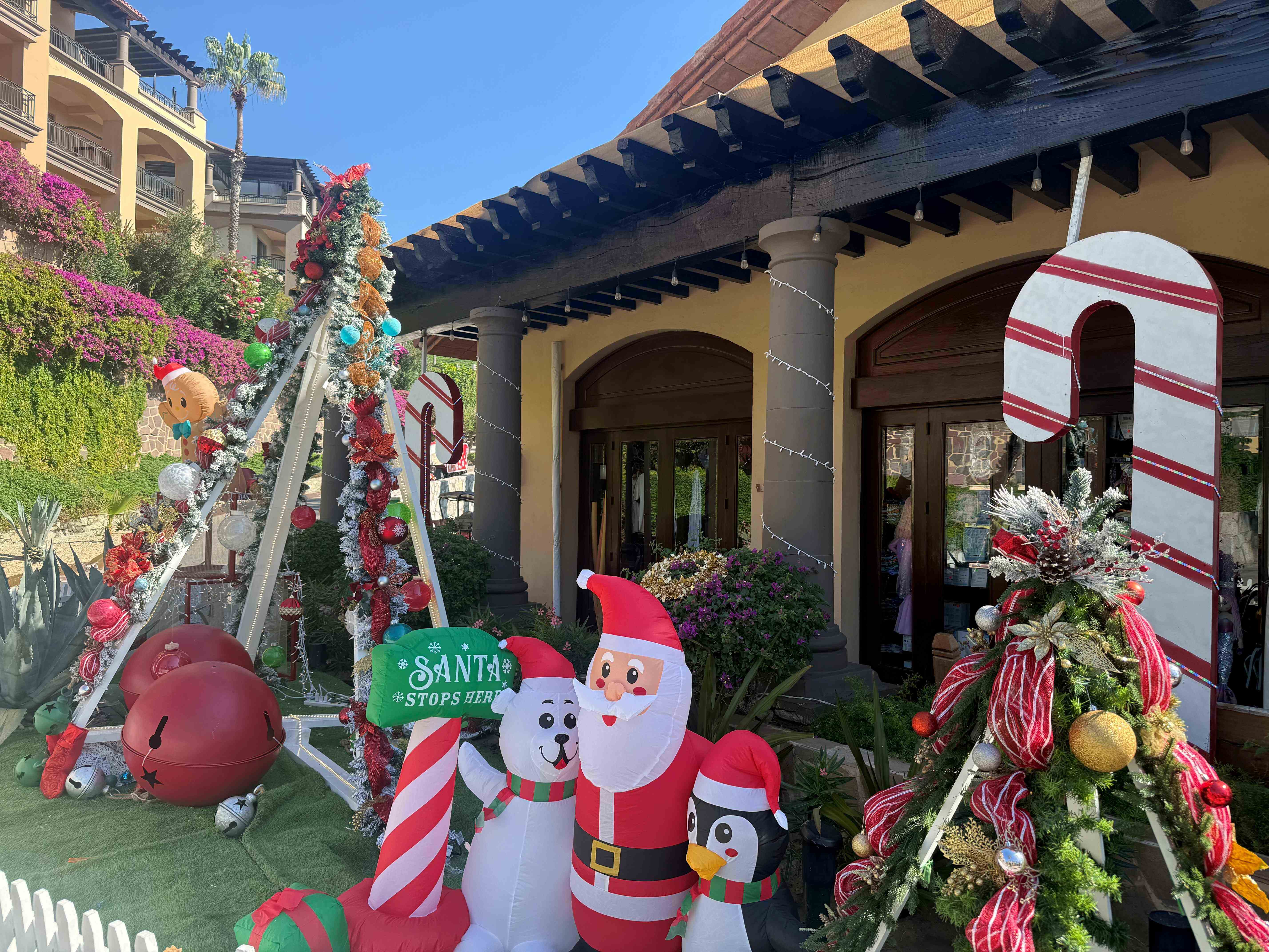 직접 다녀온 로스카보스 여행후기