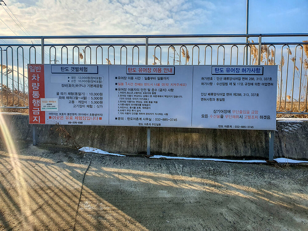 탄도항갯벌체험