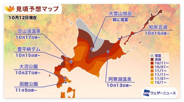 일본 북해도 단풍정보