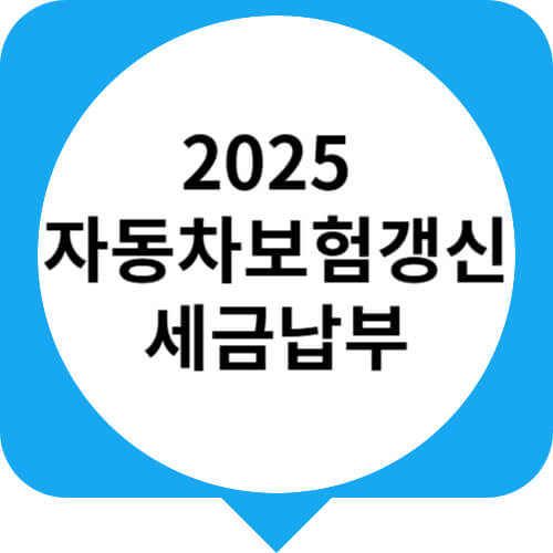 자동차보험