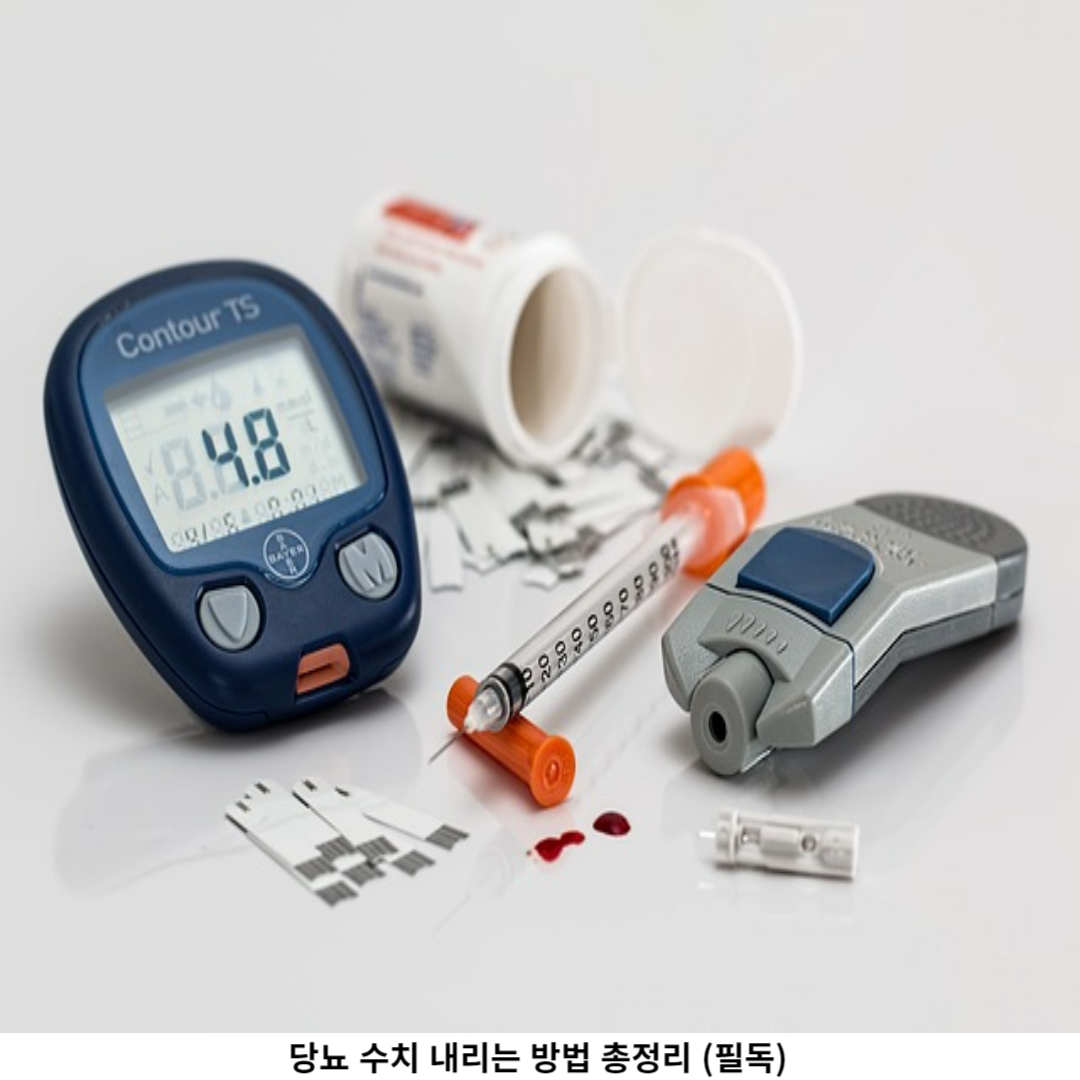 균형 잡힌 식습관