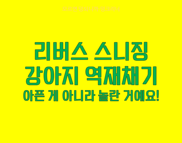 강아지 리버스 스니징