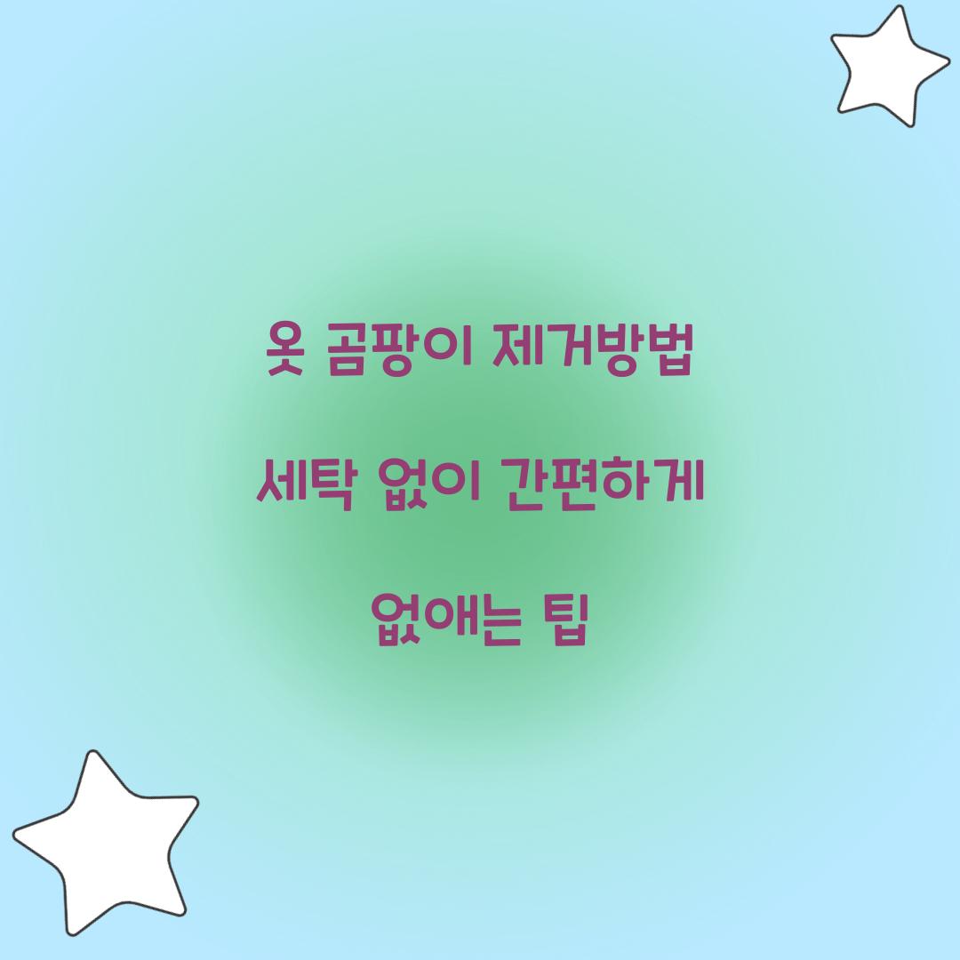 옷 곰팡이 제거방법