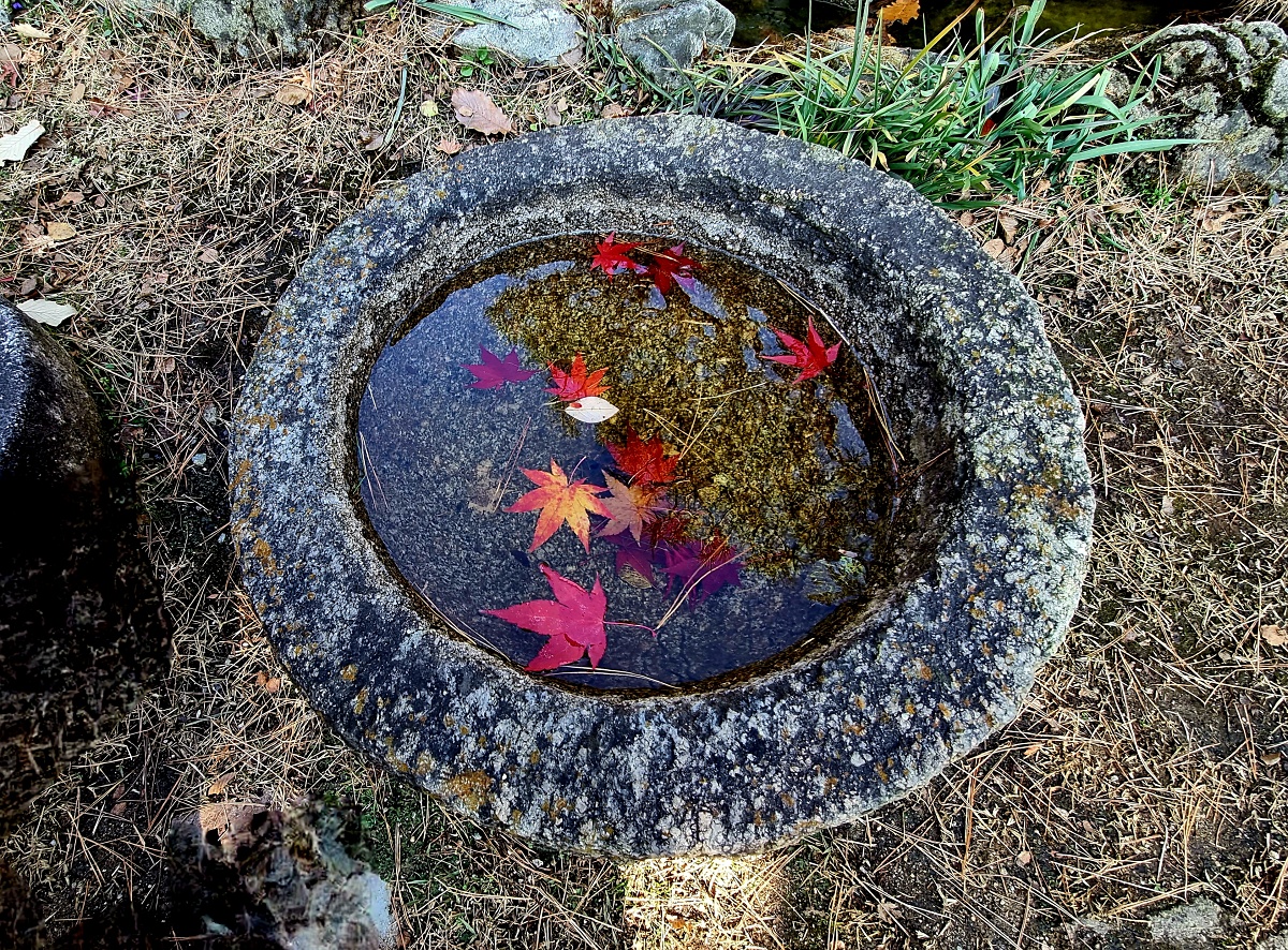 경기도 광주 곤지암 화담숲 단풍시즌, 가을 풍경 퍼레이드와 주변 맛집