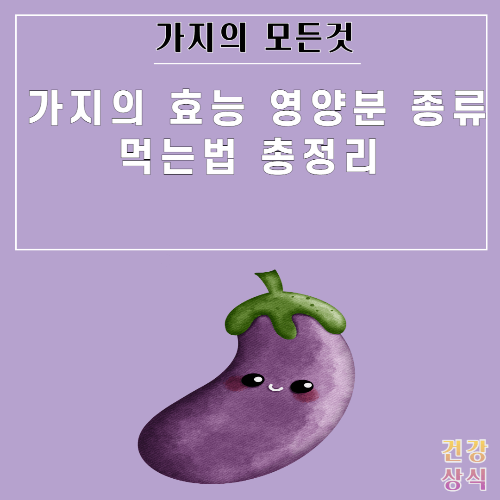 가지의 효능 영양분 종류 먹는법 총정리