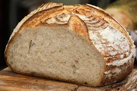 효모 NMN이 들어있는 식품