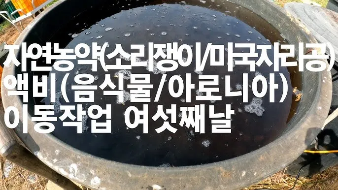 액비 희석비율 주기맞추기 잎색개선 안전한 급수 방법_7