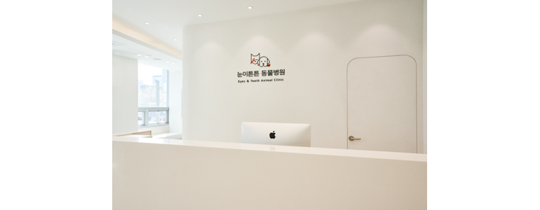 수원 팔달구 동물병원