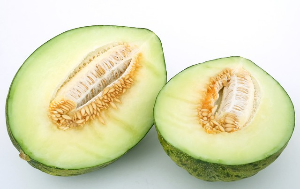 메론껍질일반쓰레기
