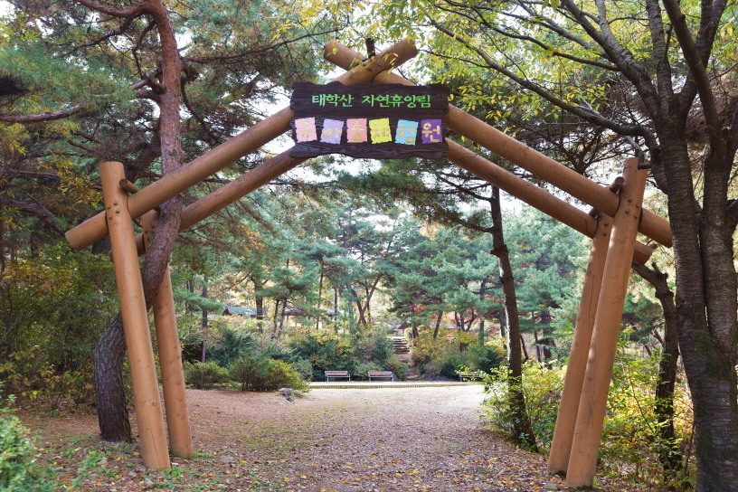 천안 가볼만한 곳15