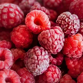 슈퍼푸드 라즈베리 산딸기 효능 섭취량 주의사항_4