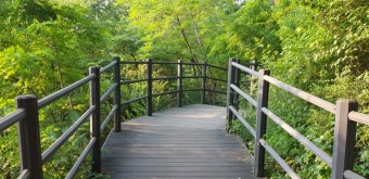 안산 자락길 관련 사진