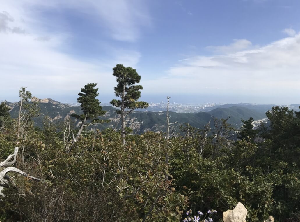 설악산 케이블카 운행시간, 예약, 요금 총정리