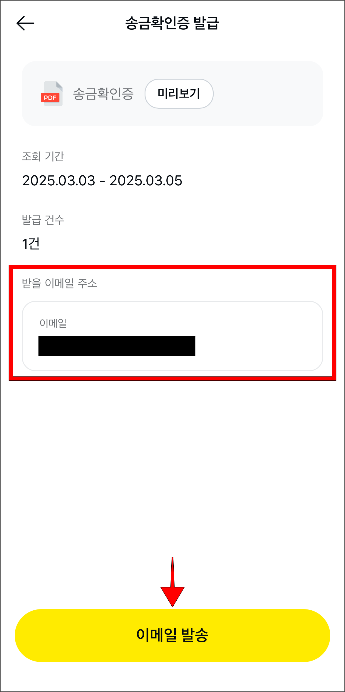송금확인증을 받을 이메일 주소를 입력하고, '이메일 발송'을 선택