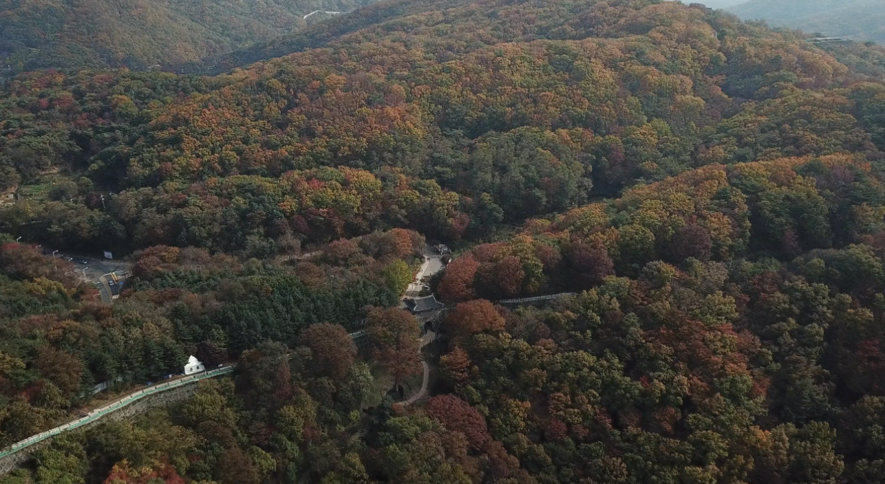 화담숲 홈페이지