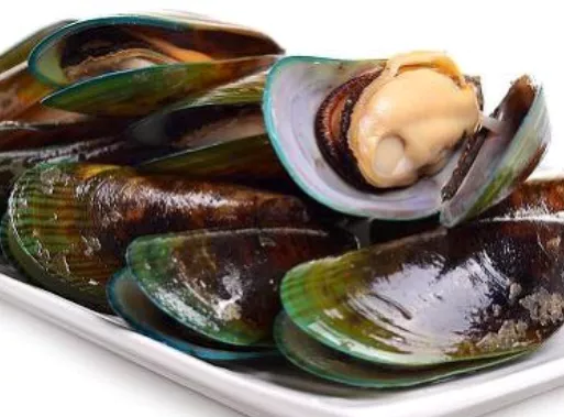 초록입홍합-효능-부작용-건강