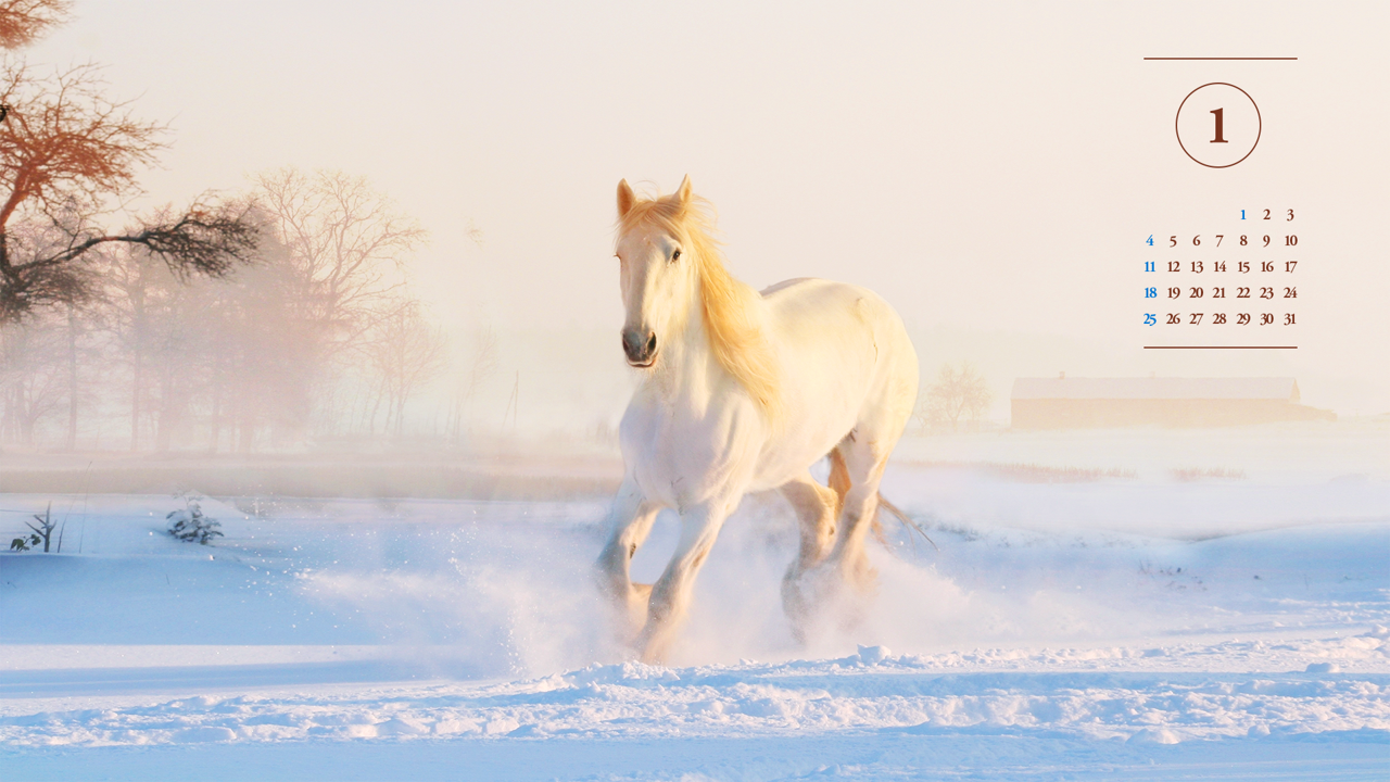 02 눈 위를 달리는 흰색 말 A - 2026년1월 달력배경화면