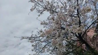 4월 기도문 모음 대표 기도 이미지_18