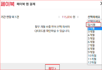 일시불 혹은 할부기간 지정