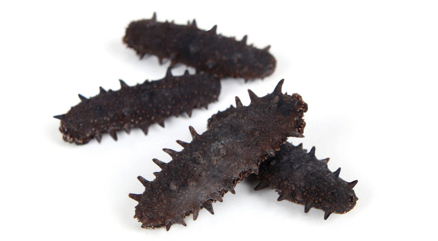 바다에서 채취를 한 해삼을 깨끗하게 세척을 한 후에 건조시킨 것을 하얀 바닥 위에 4개를 놓아두고 찍은 사진