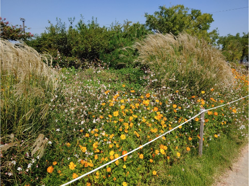 2023 서울페스티벌