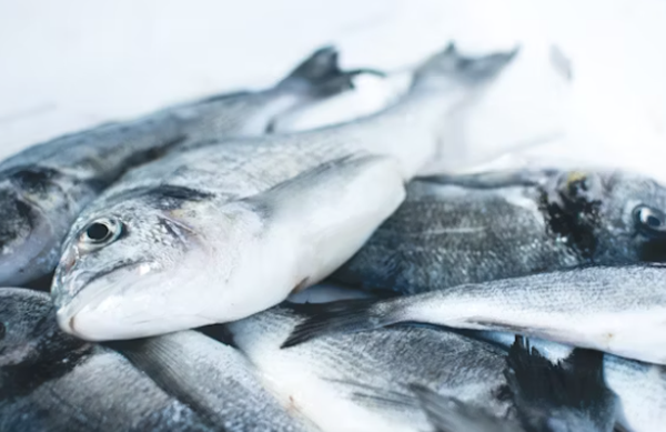 냉동밥 유통기한