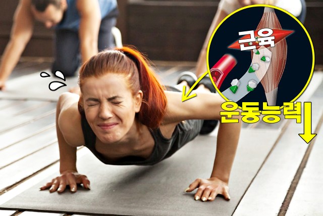2주동안 탄수화물 끊으면, 체력저하 부작용 탄수화물 끊기 다이어트 어려운 이유, 팁줌