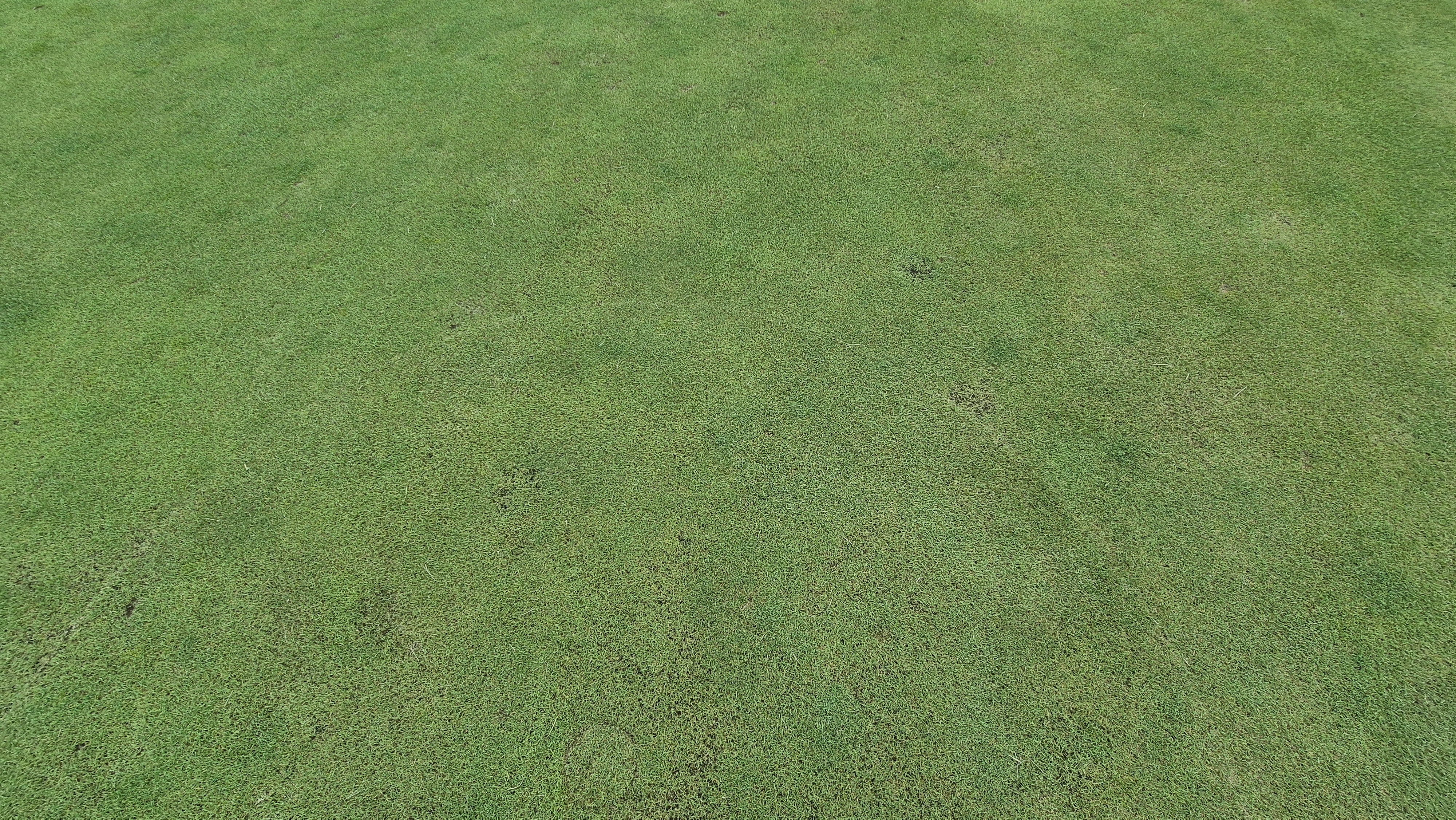 한림용인cc 다이아몬드-사파이어 코스 라운드 후기