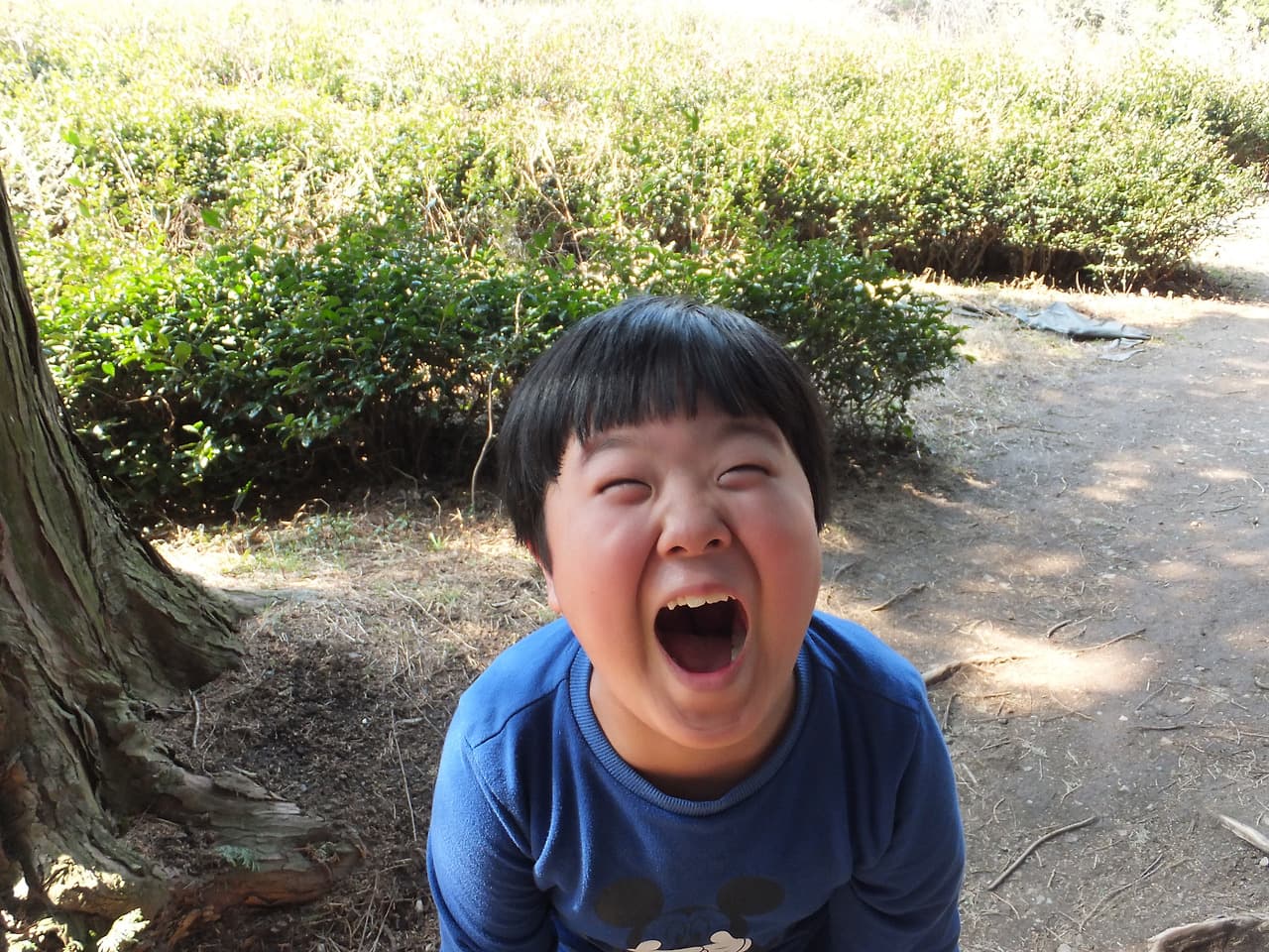 활짝 웃는 똘망이