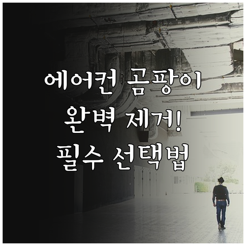 에어컨 곰팡이 제거 스프레이 선택법과..