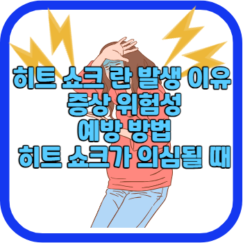 히트 쇼크 란 발생 이유 증상 위험성 예방 방법 히트 쇼크가 의심될 때