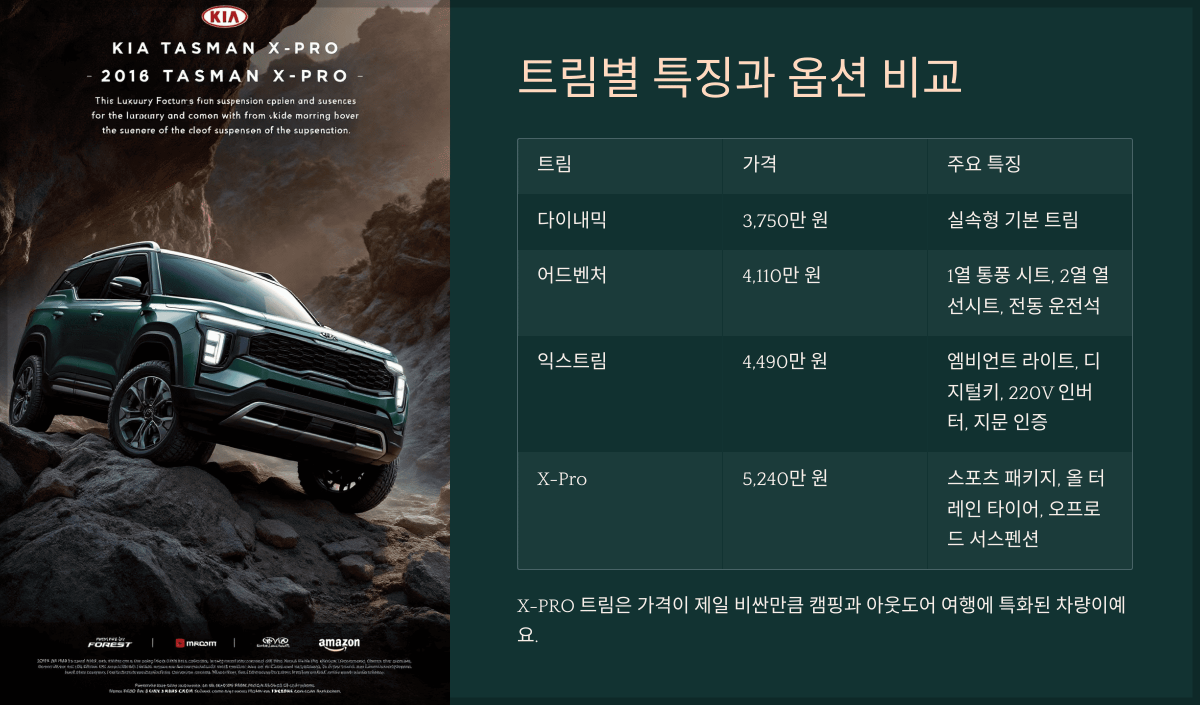 트림별 특징과 옵션 비교