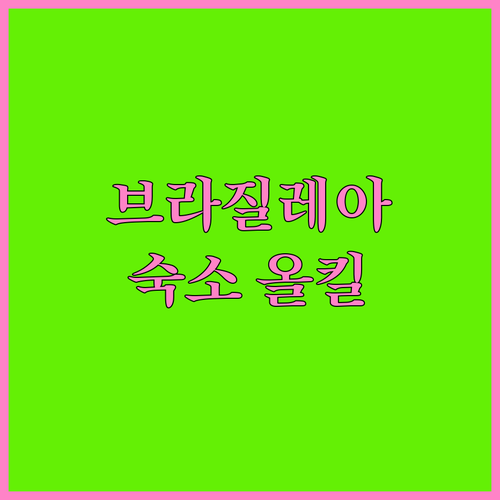 브라질 브라질레아 숙소 추천 및 가격..