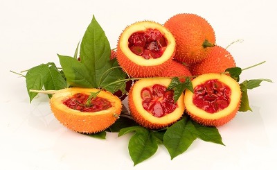 골다공증 치료와 예방