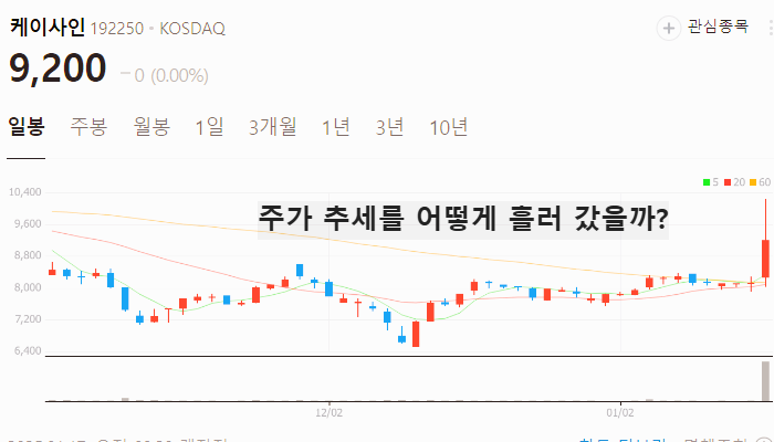 사이버 보안 관련주 대장주 테마주 주식 TOP7