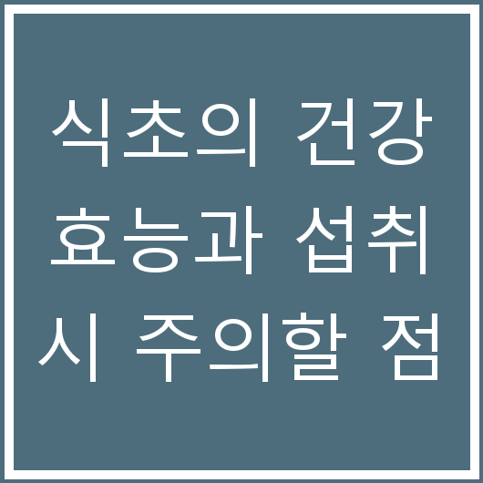 식초의 건강 효능과 섭취 시 주의할 점