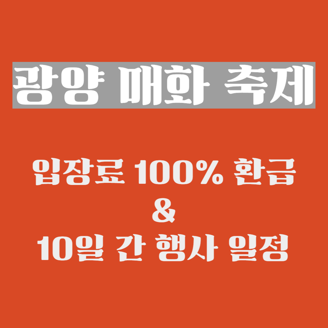 광양 매화 축제