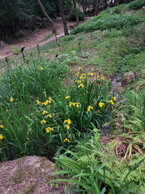 봄맞이 숙박 할인 페스타