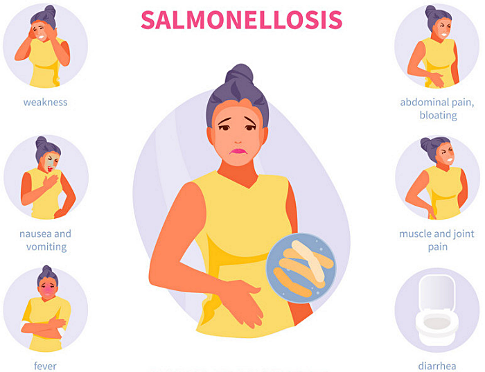 살모넬라균 특징과 없애는 방법, 살모넬라 식중독 치료방법 (Salmonella)