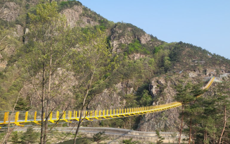 월영산 출렁다리