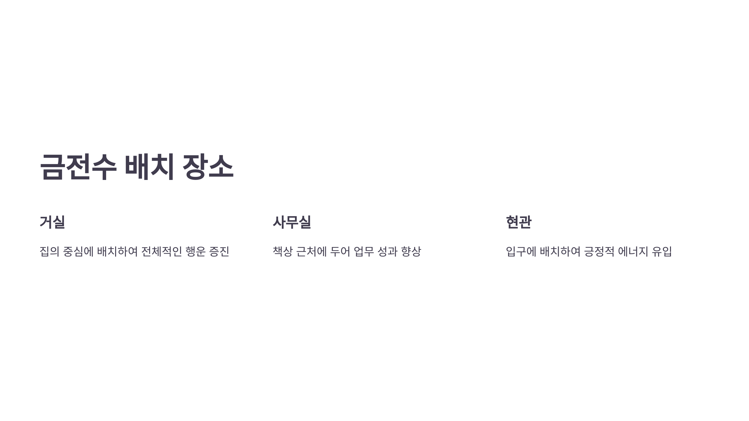 금전수와 관련된 사진입니다.