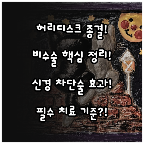 신경 차단술 신경성형술 허리디스크 비..