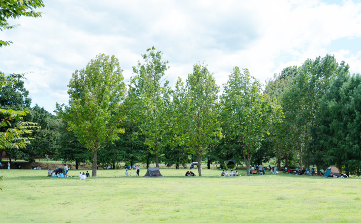 수원탑동시민농장8